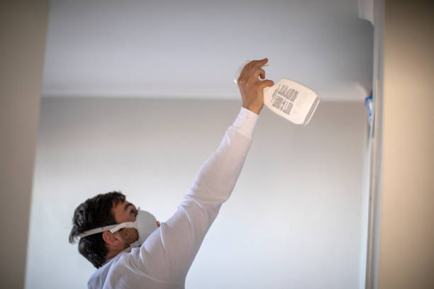 Best Professional Mold Removal  in North Fork, AZ